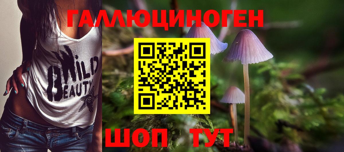 Псилоцибиновые грибы ЛСД Скопин
